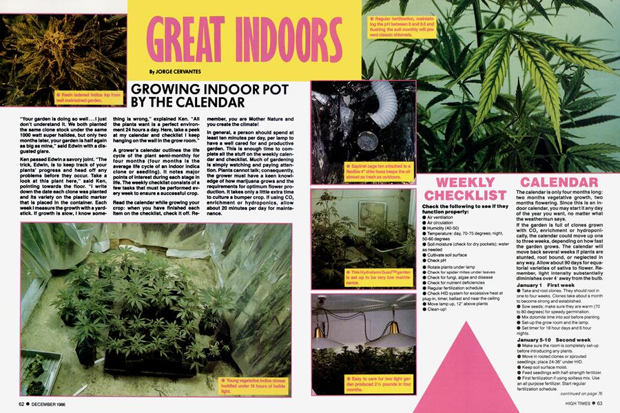 GREAT INDOORS
