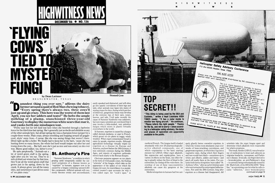 'FLYING COWS' TIED TO MYSTERY FUNGI
