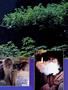 Page: - 47 | High Times