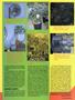 Page: - 63 | High Times