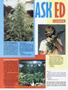 Page: - 64 | High Times