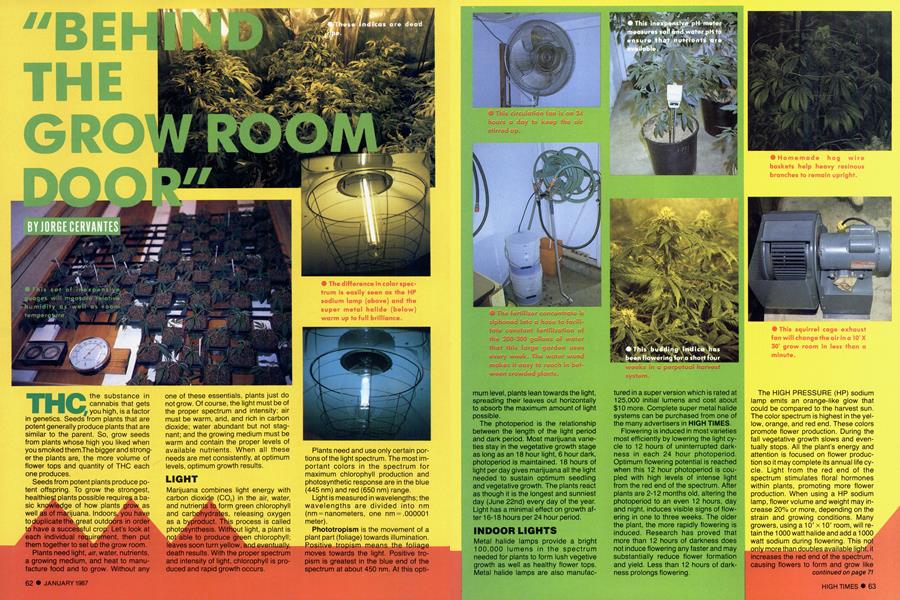 "BEHIND THE GROW ROOM DOOR"