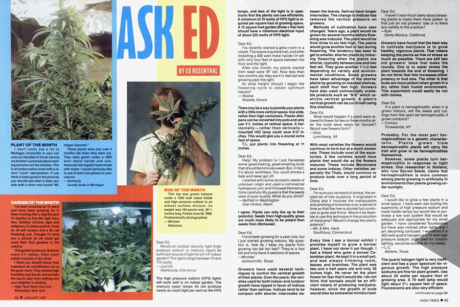 ASK ED