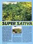 Page: - 62 | High Times