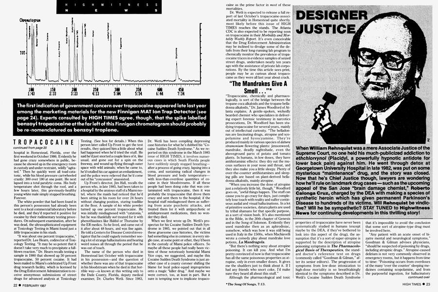 DESIGNER JUSTICE
