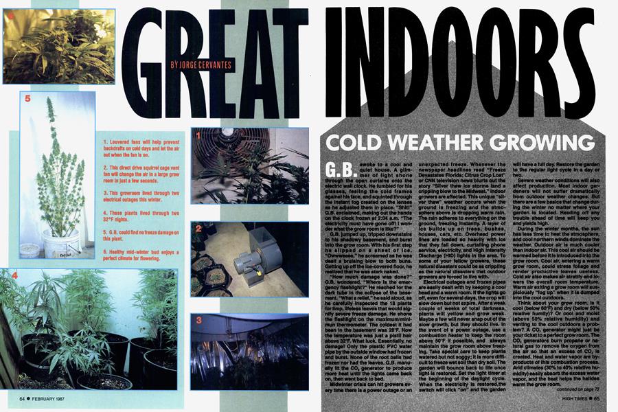 GREAT INDOORS
