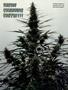 Page: - 45 | High Times