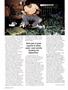 Page: - 48 | High Times