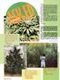 Page: - 64 | High Times