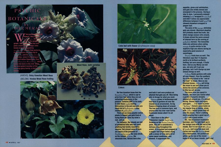 PSYCHIC BOTANICALS
