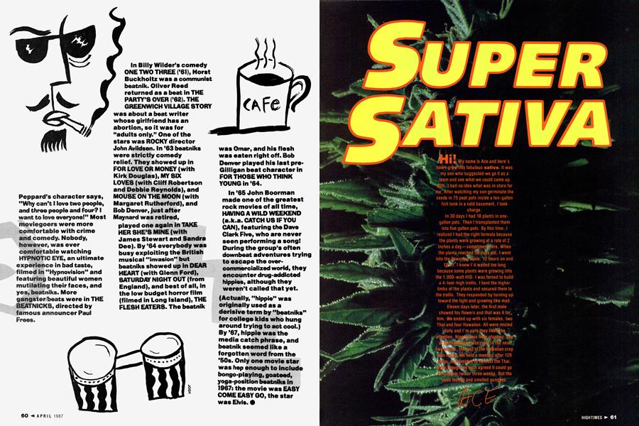 SUPER SATIVA