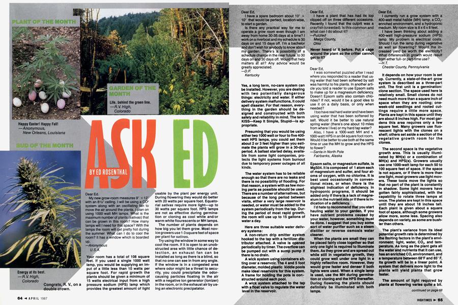 ASK ED