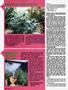 Page: - 62 | High Times