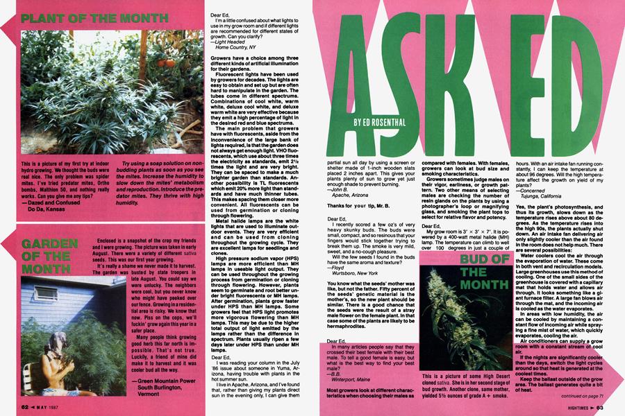 ASK ED