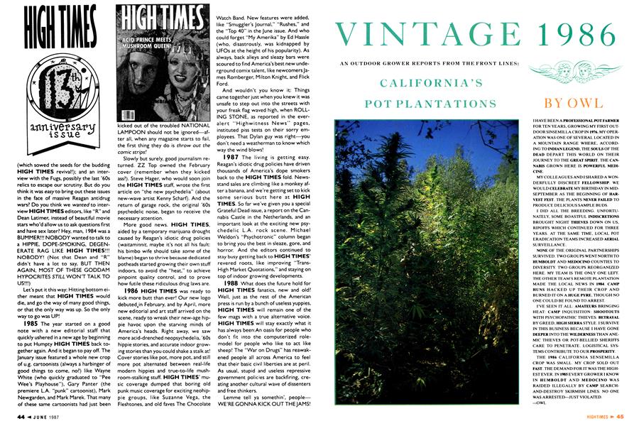 CALIFORNIA'S POT PLANTATIONS