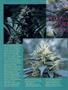 Page: - 48 | High Times