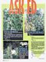 Page: - 62 | High Times