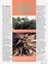 Page: - 63 | High Times