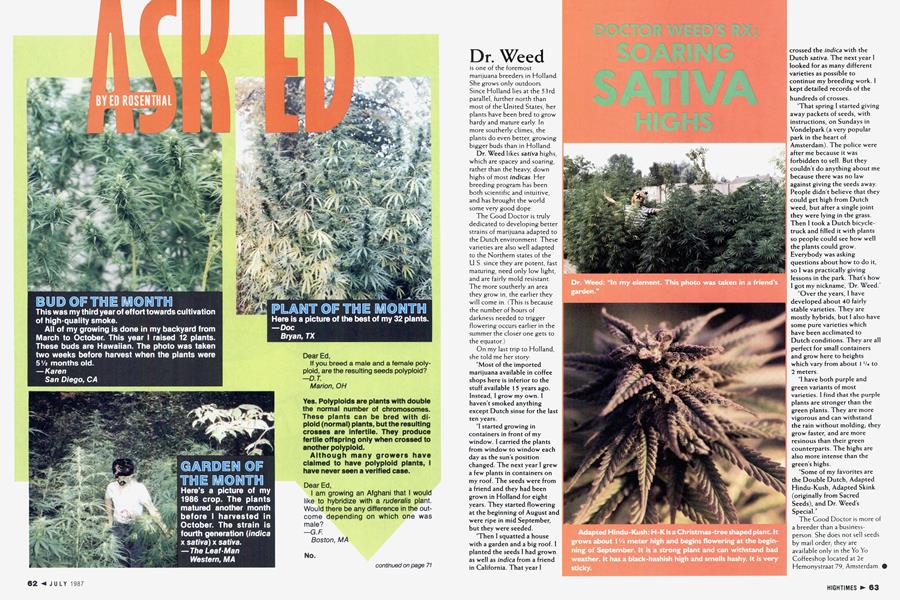 DOCTOR WEED'S RX: SOARING SATIVA HIGHS