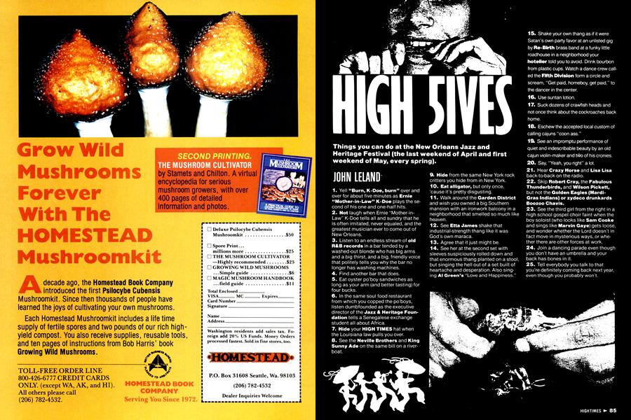 HIGH 5IVES