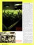 Page: - 48 | High Times