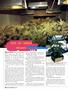 Page: - 56 | High Times