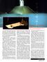 Page: - 61 | High Times