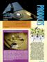 Page: - 91 | High Times
