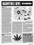 Page: - 19 | High Times