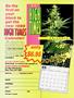 Page: - 32 | High Times