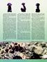 Page: - 46 | High Times