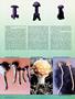 Page: - 48 | High Times