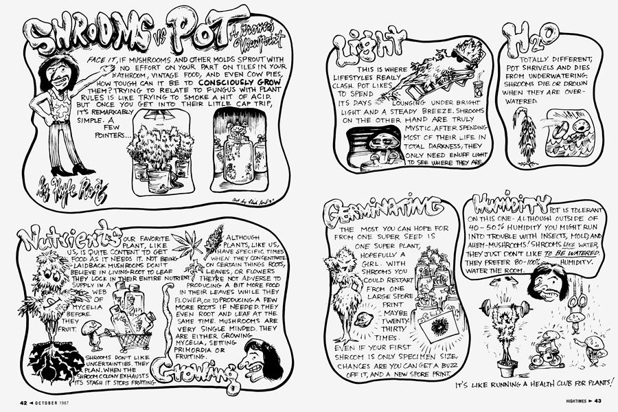 SHROOMS vs POT