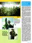 Page: - 63 | High Times