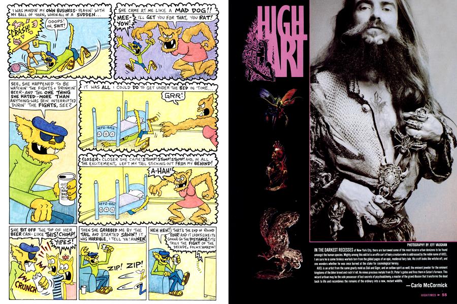 HIGH ART