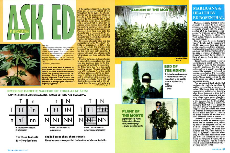 ASK ED