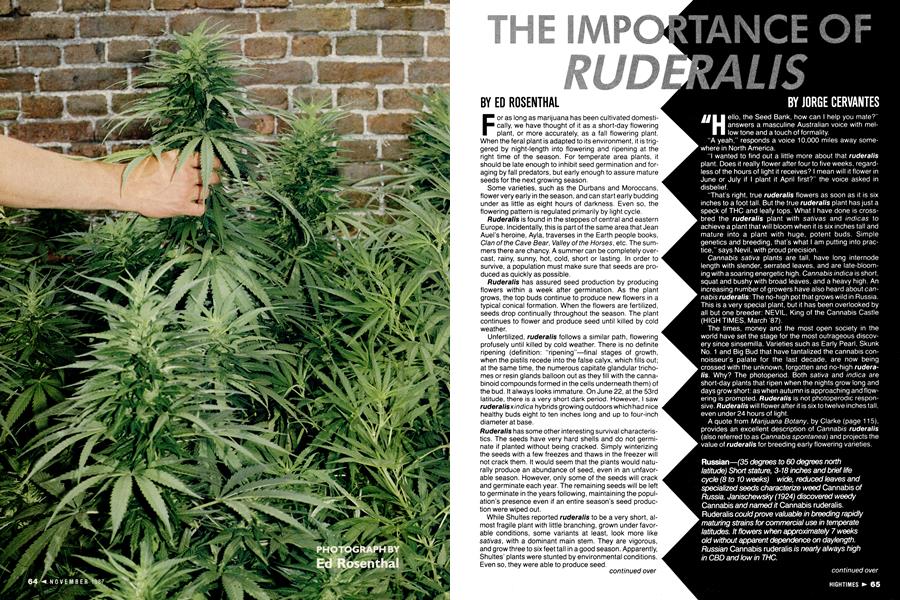 THE IMPORTANCE OF RUDERALIS