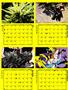 Page: - 52C | High Times