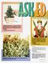 Page: - 61 | High Times