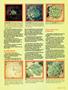Page: - 63 | High Times