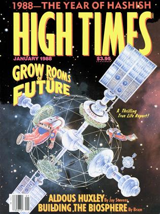 JANUARY 1988 | High Times