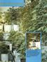 Page: - 63 | High Times