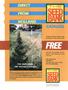 Page: - 84 | High Times