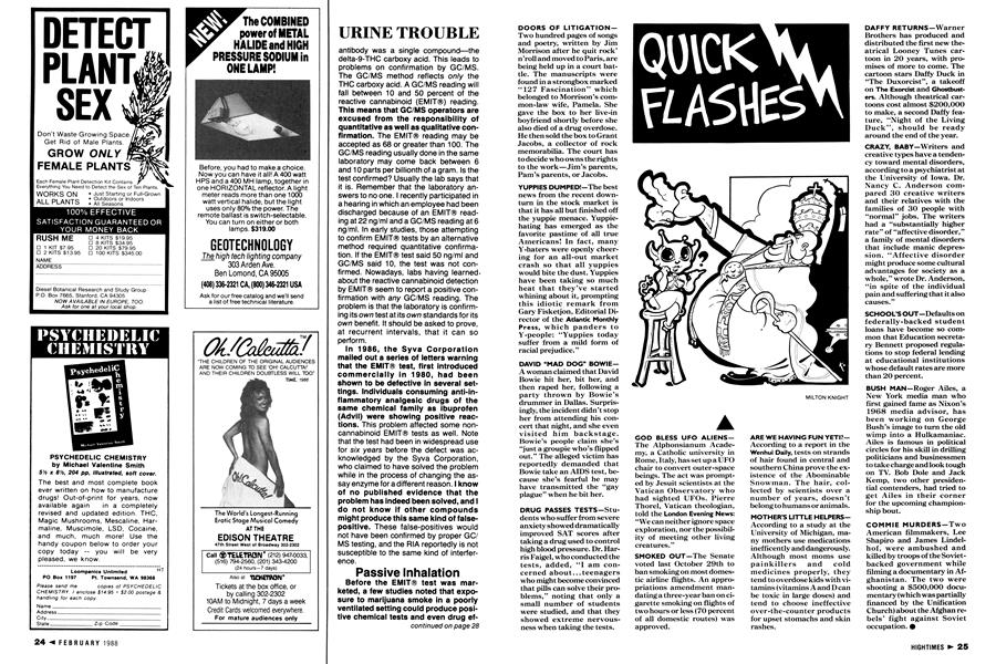 QUICK FLASHES