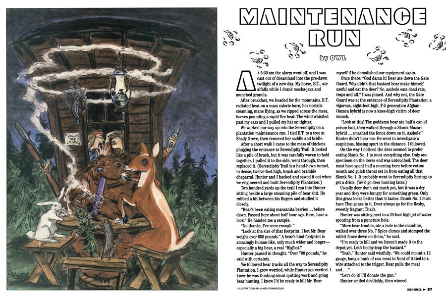 MAINTENANCE RUN