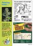 Page: - 91 | High Times