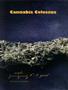 Page: - 50 | High Times
