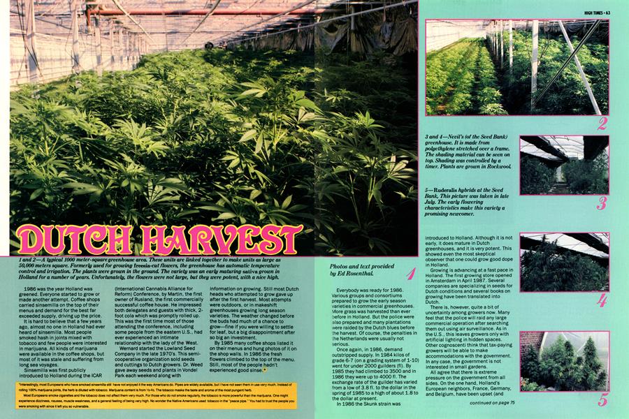 DUTCH HARVEST