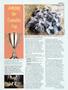 Page: - 37 | High Times