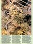 Page: - 55 | High Times